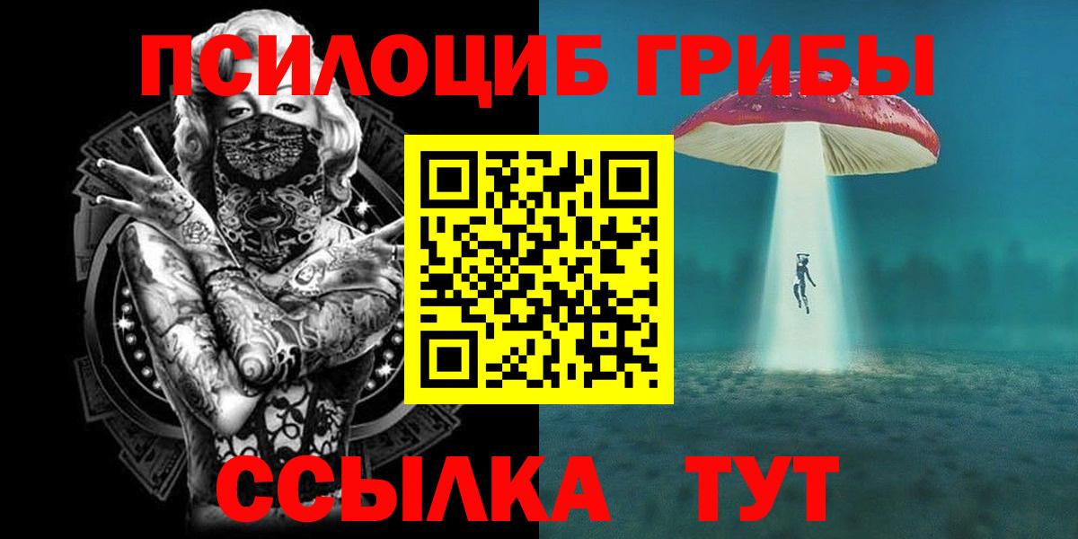 Киров  Псилоцибиновые грибы мицелий  Вход с VPN  купить   Псилоцибиновые грибы мицелий 