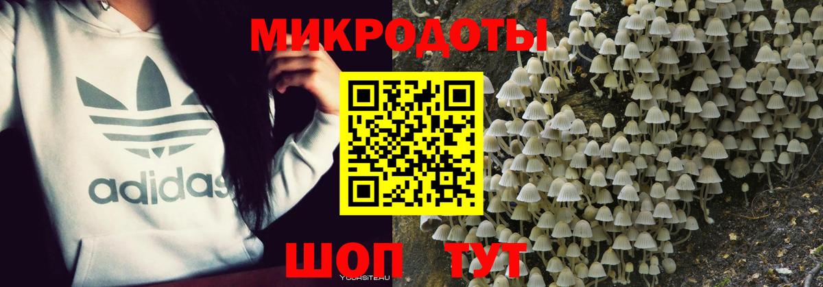 Галлюциногенные грибы мицелий Киров